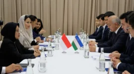 Wamendag RI Dyah Roro Esti Widya Putri saat menghadiri pertemuan bilateral tindak lanjut pembentukan JWG Kerja Sama Perdagangan dan Investasi Indonesia-Uzbekistan di Tashkent, Uzbekistan, Selasa (16/6). (Foto: Kemendag)