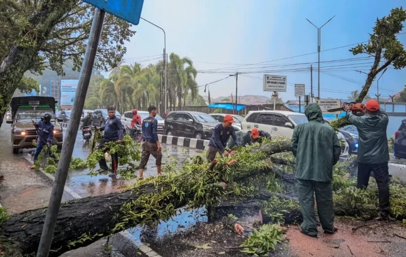 TRC BPBD Padang mengevakuasi pohon tumbang di kawasan Simpang Haru. (Foto: Pemko Padang)