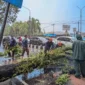 TRC BPBD Padang mengevakuasi pohon tumbang di kawasan Simpang Haru. (Foto: Pemko Padang)