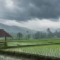 Ilustrasi hujan lebat. (Foto: AI Generate)
