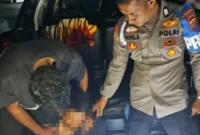 Personel Polres Solok meringkus mahasiswa karena membawa ganja usai kecelakaan di Gunung Talang. (Foto: Polda Sumbar)