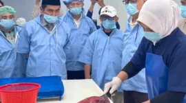 Menhaj Mochamad Irfan Yusuf ke Unit Pengolahan Ikan (UPI) CV Buton Indo Tuna 