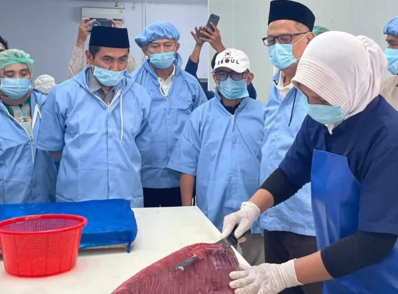 Menhaj Mochamad Irfan Yusuf ke Unit Pengolahan Ikan (UPI) CV Buton Indo Tuna 