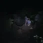 Sebuah mobil terperosok ke jurang sedalam sekitar 80 meter di kawasan Panorama Sitinjau Lauik, Kamis (2/7/2026) malam (Foto: Tangkapan Layar)