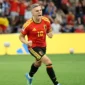 Pemain Timnas Belgia. (Foto: FIFA.com)