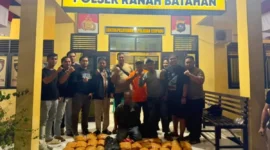 Tim gabungan Ditresnarkoba Polda Sumbar dan Polres Pasbar mengamankan pelaku dan barang bukti 30 paket ganja kering siap edar di Mapolsek Ranah Batahan. (Foto: Dok. Polda Sumbar)