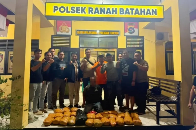 Tim gabungan Ditresnarkoba Polda Sumbar dan Polres Pasbar mengamankan pelaku dan barang bukti 30 paket ganja kering siap edar di Mapolsek Ranah Batahan. (Foto: Dok. Polda Sumbar)