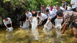 Wakil Bupati Pessel, Risnaldi Ibrahim bersama Kabid PRL-PSDKP Dinas DKP Sumbar, Marwan dan Sekretaris Dinas Perikanan dan Pangan Pessel, Yusma Joyo, serta Kepala Badan Kesbangpol, Marzan saat melepas bibit ikan gariang di Lubuak Kasai, Nagari Sungai Gayo lumpo. (Foto: Dok. Yoniks)