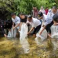 Wakil Bupati Pessel, Risnaldi Ibrahim bersama Kabid PRL-PSDKP Dinas DKP Sumbar, Marwan dan Sekretaris Dinas Perikanan dan Pangan Pessel, Yusma Joyo, serta Kepala Badan Kesbangpol, Marzan saat melepas bibit ikan gariang di Lubuak Kasai, Nagari Sungai Gayo lumpo. (Foto: Dok. Yoniks)