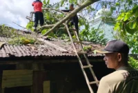 Aanggota TRC PB BPBD Padang mengevakuasi pohon tumbang yang menimpa rumah warga di Karan Bawah RT 005 RW 006, Kelurahan Rawang, Kecamatan Padang Selatan. (Foto: BPBD Padang)