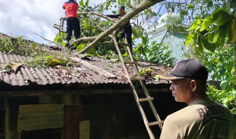 Aanggota TRC PB BPBD Padang mengevakuasi pohon tumbang yang menimpa rumah warga di Karan Bawah RT 005 RW 006, Kelurahan Rawang, Kecamatan Padang Selatan. (Foto: BPBD Padang)