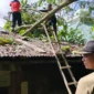 Aanggota TRC PB BPBD Padang mengevakuasi pohon tumbang yang menimpa rumah warga di Karan Bawah RT 005 RW 006, Kelurahan Rawang, Kecamatan Padang Selatan. (Foto: BPBD Padang)