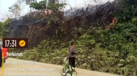 Polres Dharmasraya menangani empat hotspot Karhutla di Timpeh dan Asam Jujuhan. Sebanyak 19,5 hektare lahan terdampak. (Foto: Polda Sumbar)