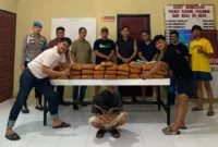 Polres Padang Pariaman mengamankan 61 paket besar ganja di Sintuk dan menangkap seorang pria berinisial FA (41). (Foto: Polda Sumbar)