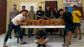 Polres Padang Pariaman mengamankan 61 paket besar ganja di Sintuk dan menangkap seorang pria berinisial FA (41). (Foto: Polda Sumbar)
