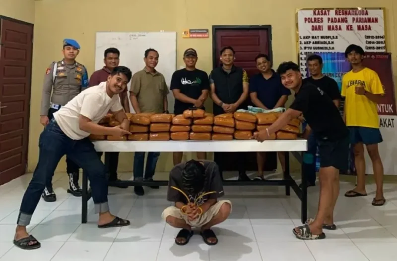 Polres Padang Pariaman mengamankan 61 paket besar ganja di Sintuk dan menangkap seorang pria berinisial FA (41). (Foto: Polda Sumbar)