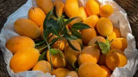 Ilustrasi buah gandaria. (Foto: Pexels)