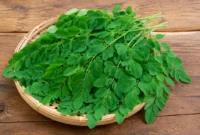 Ilustrasi daun kelor. (Foto: AI Generated)