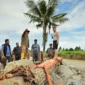 Gubernur Sumbar Mahyeldi saat meninjau kawasan Guo, RT 001/RW VI, Kelurahan Kuranji, Kecamatan Kuranji, Selasa (4/8/2026). (Foto: ADPSB)