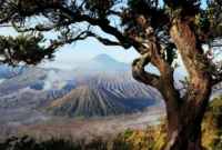 Kawasan wisata Gunung Bromo kembali dibuka setelah kebakaran. (Foto: Dok. Kemenpar)