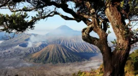 Kawasan wisata Gunung Bromo kembali dibuka setelah kebakaran. (Foto: Dok. Kemenpar)