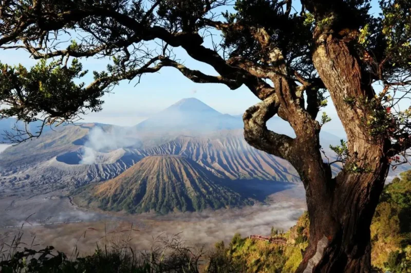 Kawasan wisata Gunung Bromo kembali dibuka setelah kebakaran. (Foto: Dok. Kemenpar)