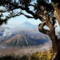 Kawasan wisata Gunung Bromo kembali dibuka setelah kebakaran. (Foto: Dok. Kemenpar)