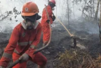 Hotspot karhutla nasional turun 56,2 persen. Kemenhut mencatat hotspot berkurang dari 2.170 titik menjadi 950 titik pada 20 Agustus 2026. (Foto: Kemenhut)
