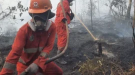 Hotspot karhutla nasional turun 56,2 persen. Kemenhut mencatat hotspot berkurang dari 2.170 titik menjadi 950 titik pada 20 Agustus 2026. (Foto: Kemenhut)
