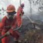 Hotspot karhutla nasional turun 56,2 persen. Kemenhut mencatat hotspot berkurang dari 2.170 titik menjadi 950 titik pada 20 Agustus 2026. (Foto: Kemenhut)