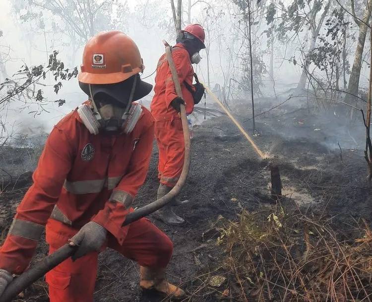 Hotspot karhutla nasional turun 56,2 persen. Kemenhut mencatat hotspot berkurang dari 2.170 titik menjadi 950 titik pada 20 Agustus 2026. (Foto: Kemenhut)
