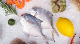 Ilustrasi ikan bawal. (Foto: AI Generate)
