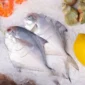 Ilustrasi ikan bawal. (Foto: AI Generate)
