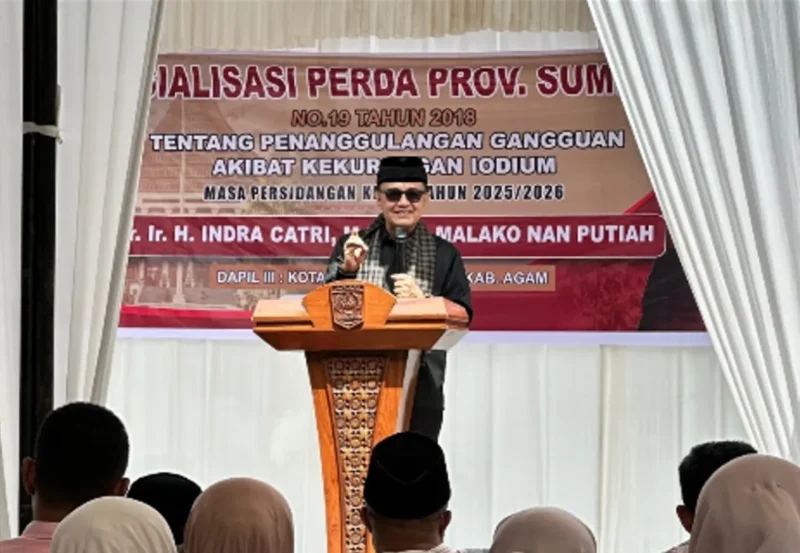 Anggota DPRD Sumbar, Indra Catri saat sosialisasi Perda Sumbar Nomor 19 Tahun 2018 tentang Penanggulangan GAKI. (Foto: Ist)