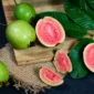 Ilustrasi jambu biji. (Foto: Pexels)