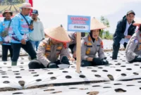 Kapolda Sumbar Irjen Pol Djati Wiyoto Abadhy melakukan penanaman bawang putih secara simbolis di Jorong Air Tawar Utara, Nagari Kampung Batu Dalam, Kecamatan Danau Kembar, Rabu (19/8/2026). (Foto: Polda Sumbar)
