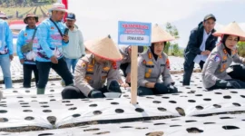 Kapolda Sumbar Irjen Pol Djati Wiyoto Abadhy melakukan penanaman bawang putih secara simbolis di Jorong Air Tawar Utara, Nagari Kampung Batu Dalam, Kecamatan Danau Kembar, Rabu (19/8/2026). (Foto: Polda Sumbar)