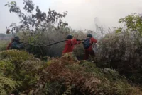 Para personel tengah berjibaku menangani kebakaran karhutla di Kalimantan. (Foto: Kemenhut)