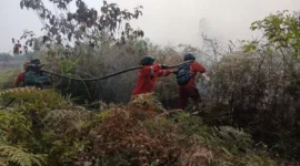 Para personel tengah berjibaku menangani kebakaran karhutla di Kalimantan. (Foto: Kemenhut)