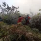 Para personel tengah berjibaku menangani kebakaran karhutla di Kalimantan. (Foto: Kemenhut)