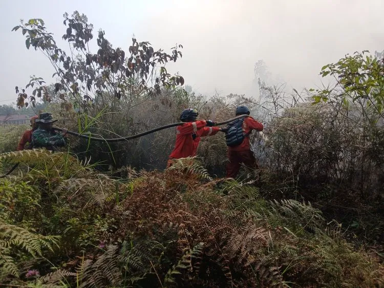 Para personel tengah berjibaku menangani kebakaran karhutla di Kalimantan. (Foto: Kemenhut)