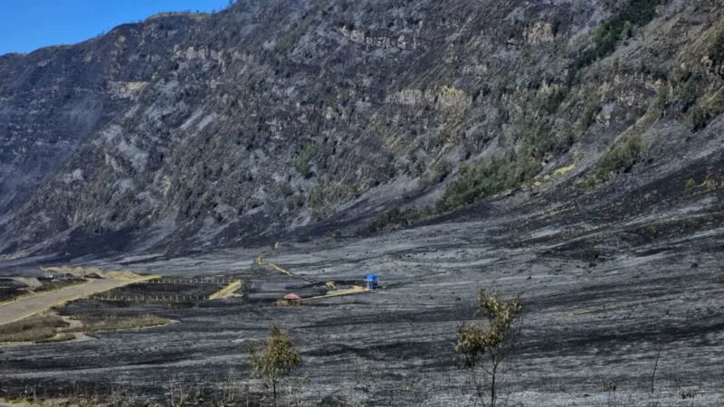 Kebakaran Bromo membuat akses wisata ditutup sementara. Wisatawan bisa mengajukan refund atau reschedule tiket hingga 31 Agustus 2026. (Foto: Dok. Kemenpar)