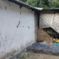 Kerusakan bangunan rumah warga yang terdampak gempa bumi M7,7 di Kabupaten Ende. (Foto: BPBD Kabupaten Ende)