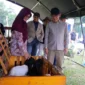 Wali Kota Payakumbuh Zulmaeta meninjau Kontes Kambing Seni Peranakan Etawa (PE) Wali Kota Cup 2026 di Lapangan Kampus Unand Payakumbuh, Minggu (2/8/2026). (Foto: MC Payakumbuh)