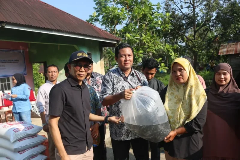 Penyaluran 101.000 benih ikan lele kepada masyarakat terdampak bencana hidrometeorologi di Kelurahan Koto Panjang Ikur Koto, Sabtu (1/8/2026). (Foto: Pemko Padang)