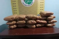 Satresnarkoba Polres Pasaman mengamankan 16 paket besar ganja kering siap edar dalam penangkapan di Pasaman, Kamis (27/8/2026) dinihari. (Foto: Polda Sumbar)