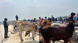 Peresmian Pasar Hewan Jonggol Kabupaten Bogor, Jawa Barat. (Foto: Ditjen PKH Kementan)