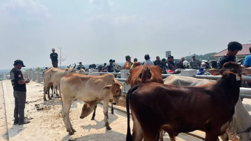 Peresmian Pasar Hewan Jonggol Kabupaten Bogor, Jawa Barat. (Foto: Ditjen PKH Kementan)