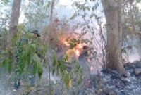 Personel melakukan upaya pemadaman di Desa Mategal dan Giripurno, Kabupaten Magetan, Provinsi Jawa Timur Rabu (19/8). (BPBD Jatim)