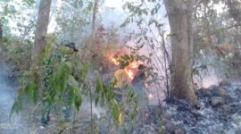Personel melakukan upaya pemadaman di Desa Mategal dan Giripurno, Kabupaten Magetan, Provinsi Jawa Timur Rabu (19/8). (BPBD Jatim)